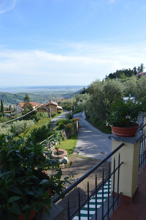 B&B Il Trebbio Corsanico-Bargecchia 외부 사진